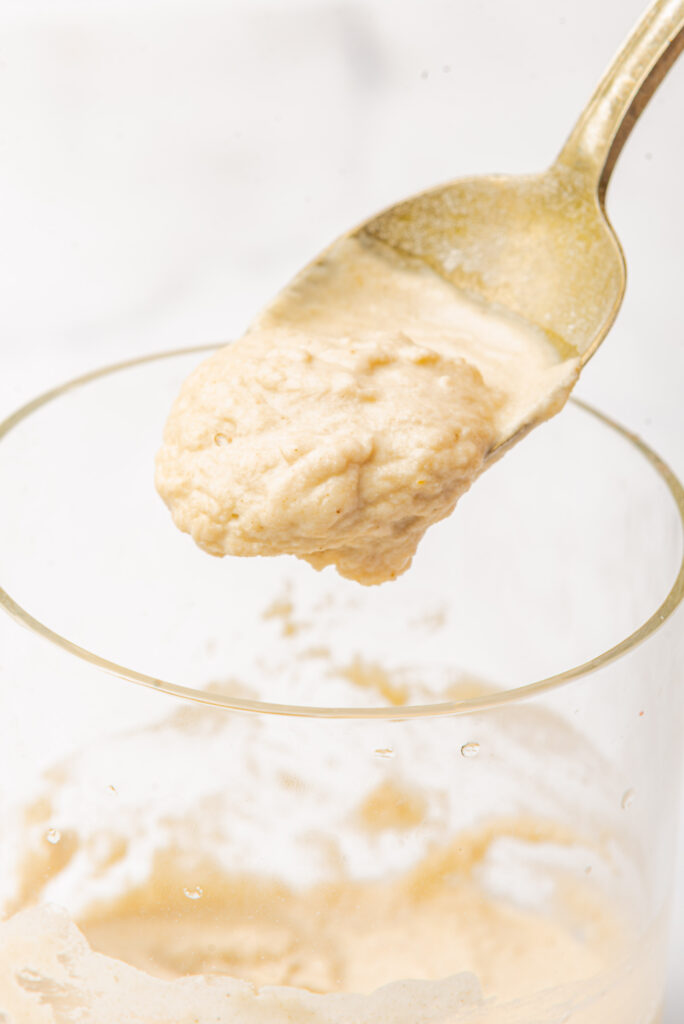 Gluten-Free Sourdough Starter