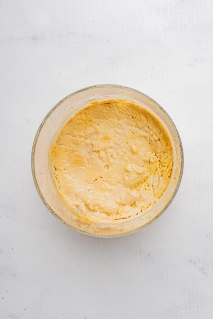 Gluten-Free Sourdough Starter