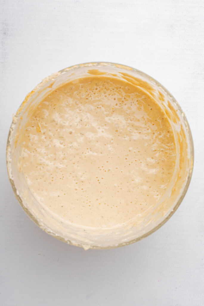 Gluten-Free Sourdough Starter