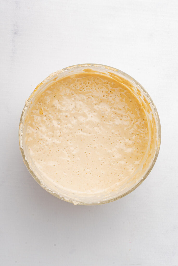 Gluten-Free Sourdough Starter