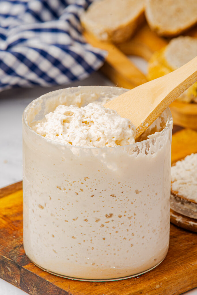 Gluten-Free Sourdough Starter