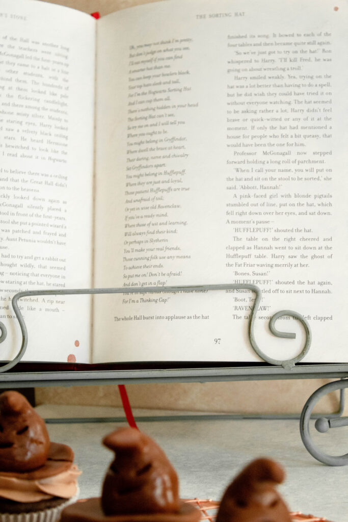 Harry Potter Book